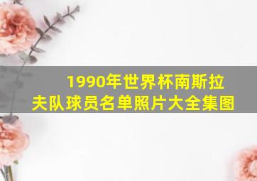 1990年世界杯南斯拉夫队球员名单照片大全集图