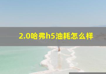 2.0哈弗h5油耗怎么样