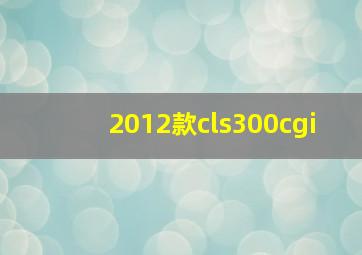 2012款cls300cgi