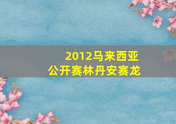 2012马来西亚公开赛林丹安赛龙