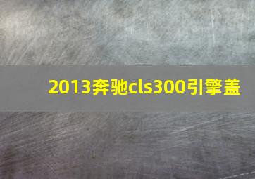 2013奔驰cls300引擎盖