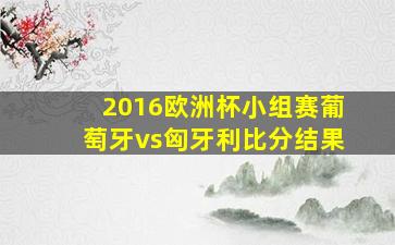 2016欧洲杯小组赛葡萄牙vs匈牙利比分结果