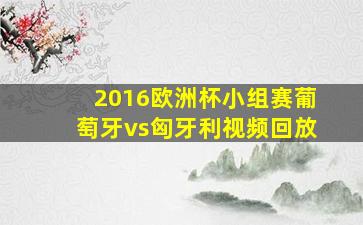 2016欧洲杯小组赛葡萄牙vs匈牙利视频回放