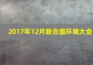 2017年12月联合国环境大会