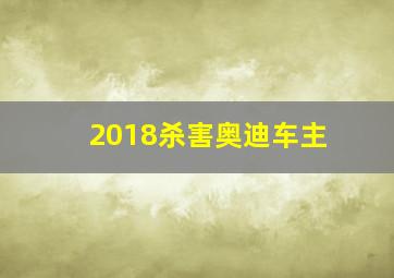 2018杀害奥迪车主