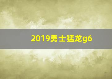 2019勇士猛龙g6