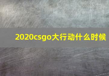 2020csgo大行动什么时候