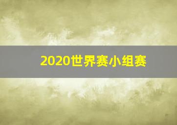 2020世界赛小组赛