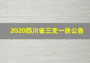 2020四川省三支一扶公告