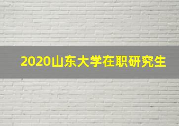 2020山东大学在职研究生