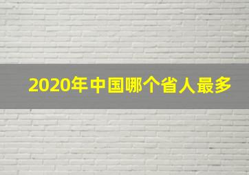 2020年中国哪个省人最多