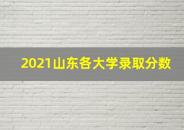 2021山东各大学录取分数