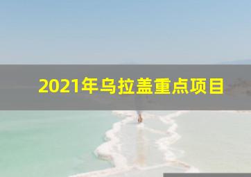 2021年乌拉盖重点项目