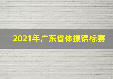 2021年广东省体操锦标赛