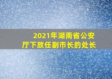 2021年湖南省公安厅下放任副巿长的处长