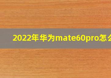 2022年华为mate60pro怎么样