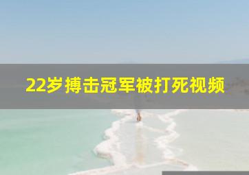 22岁搏击冠军被打死视频