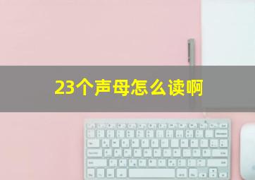 23个声母怎么读啊