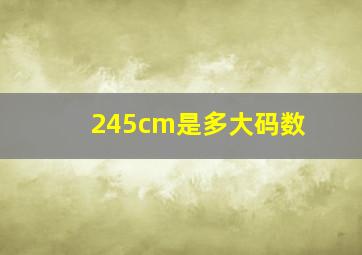 245cm是多大码数