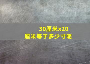 30厘米x20厘米等于多少寸呢