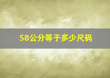 58公分等于多少尺码