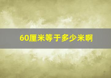 60厘米等于多少米啊