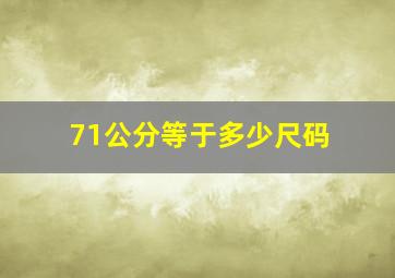 71公分等于多少尺码