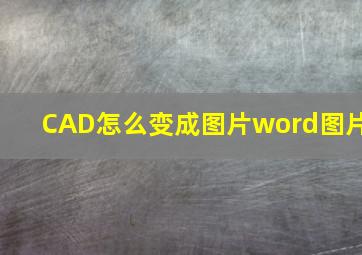 CAD怎么变成图片word图片