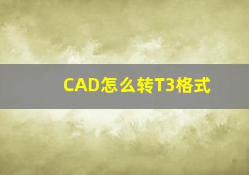 CAD怎么转T3格式