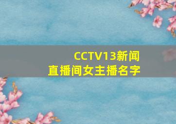 CCTV13新闻直播间女主播名字