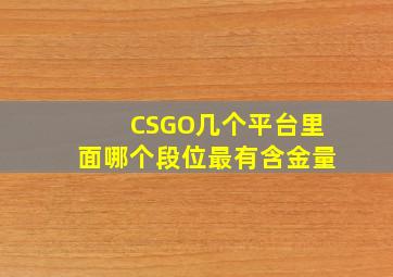 CSGO几个平台里面哪个段位最有含金量