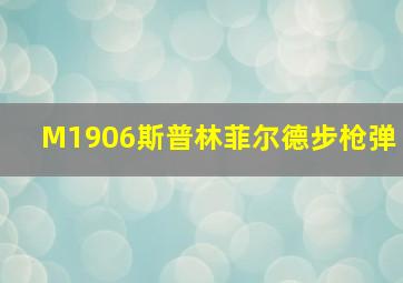 M1906斯普林菲尔德步枪弹