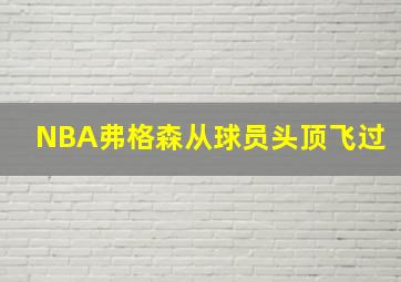 NBA弗格森从球员头顶飞过