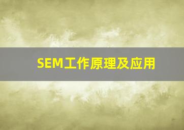 SEM工作原理及应用