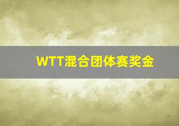 WTT混合团体赛奖金