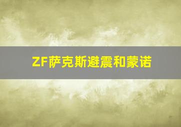 ZF萨克斯避震和蒙诺