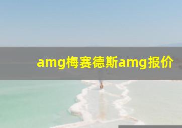 amg梅赛德斯amg报价