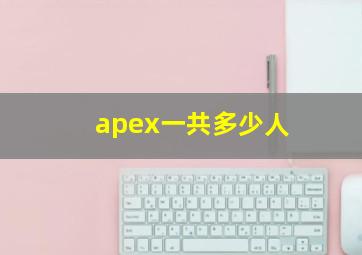 apex一共多少人