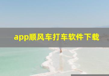 app顺风车打车软件下载