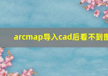 arcmap导入cad后看不到图