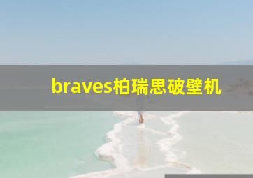 braves柏瑞思破壁机