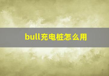 bull充电桩怎么用