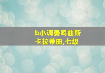 b小调奏鸣曲斯卡拉蒂曲,七级