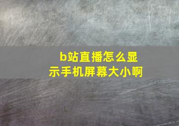 b站直播怎么显示手机屏幕大小啊