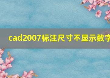 cad2007标注尺寸不显示数字