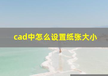 cad中怎么设置纸张大小