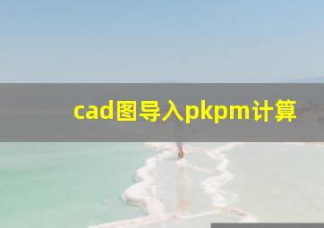 cad图导入pkpm计算