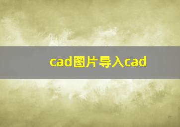 cad图片导入cad