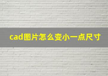 cad图片怎么变小一点尺寸