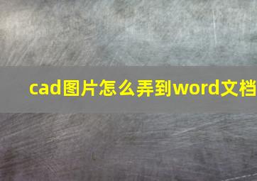 cad图片怎么弄到word文档